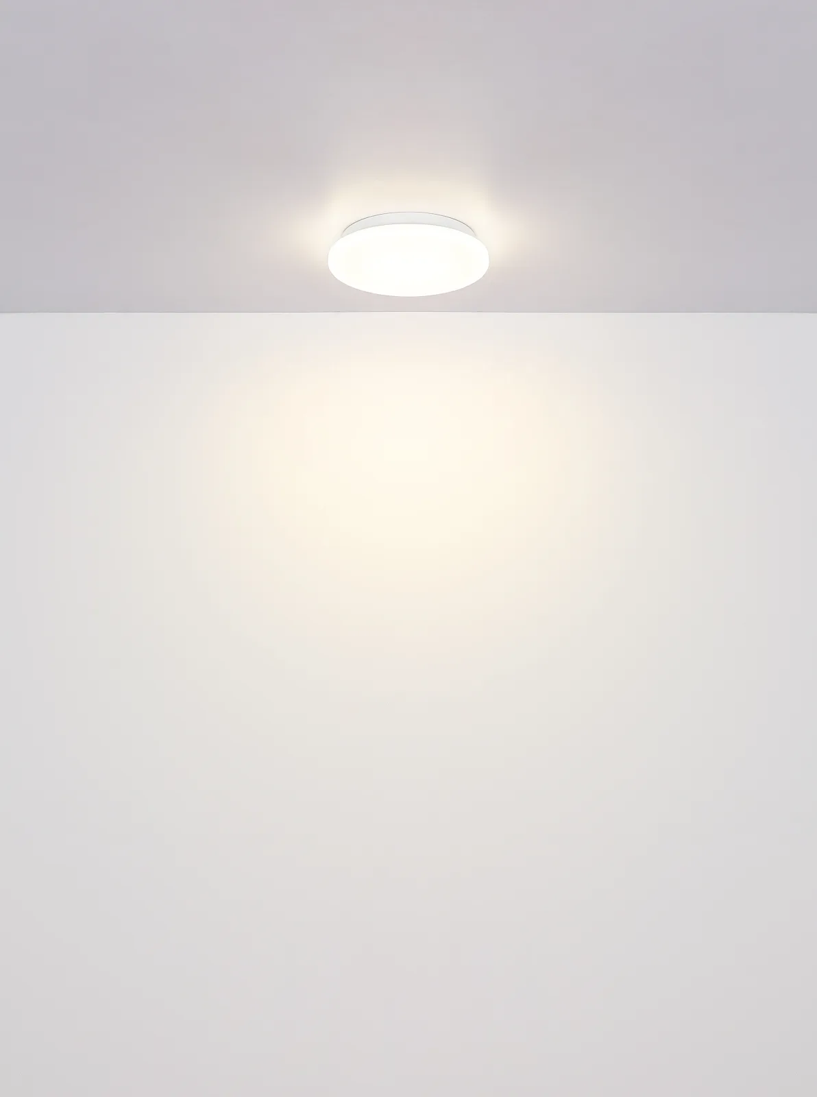 FLARX 7