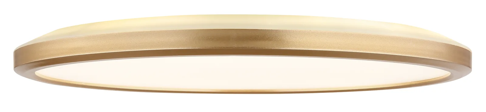 SAPANA 8