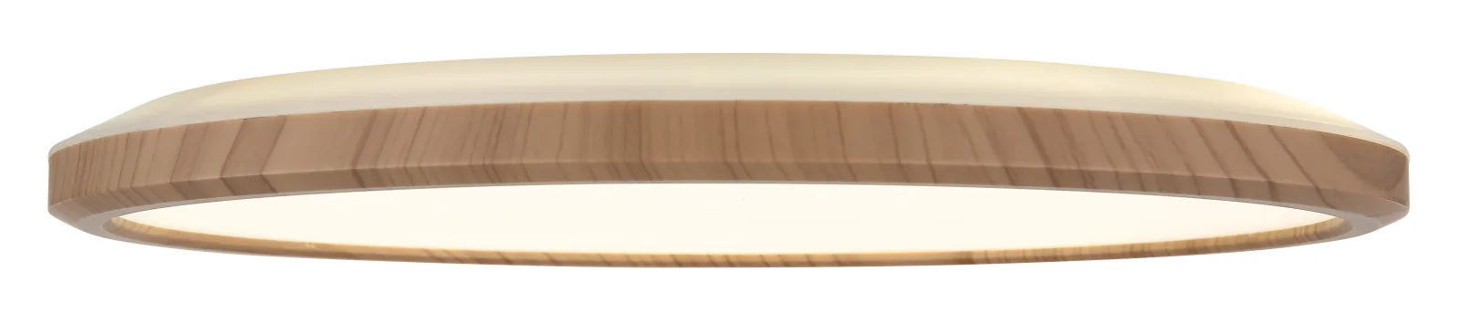 SAPANA 8