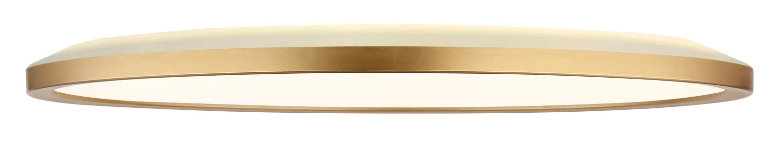 SAPANA 8