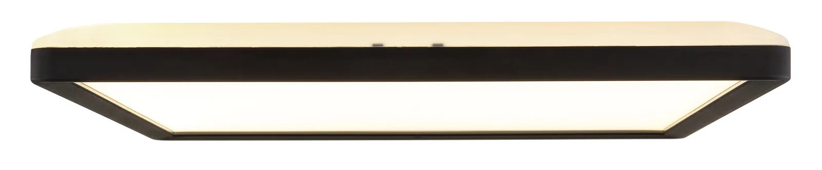 SAPANA 10