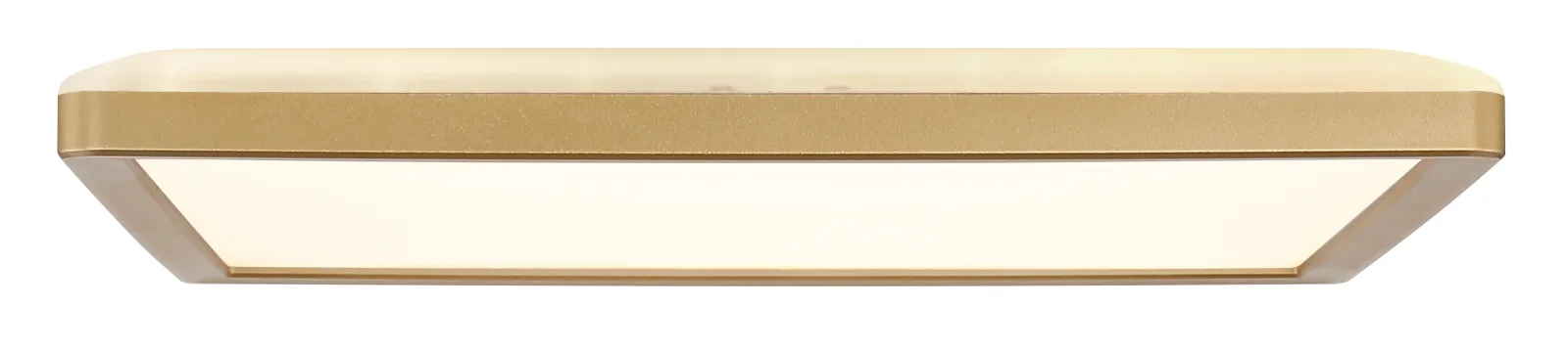 SAPANA 9