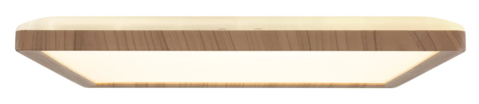 SAPANA 8