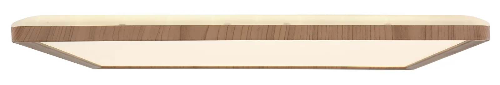 SAPANA 8
