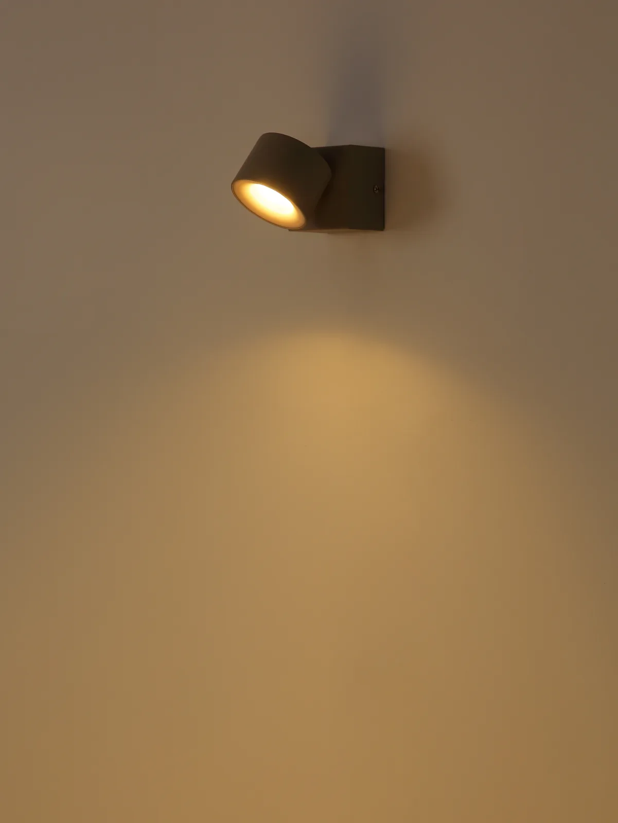 RAE 7