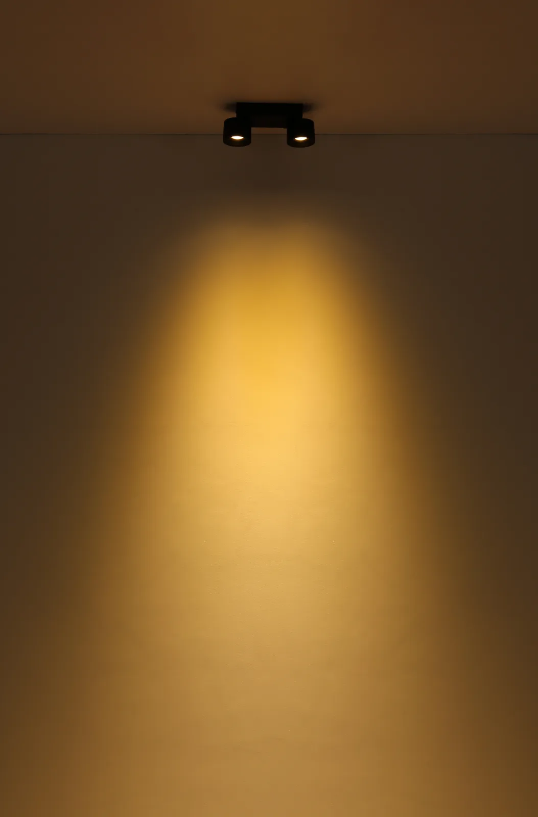 RAE 7