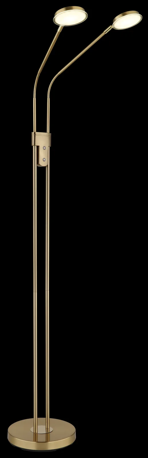 SILVIO 10