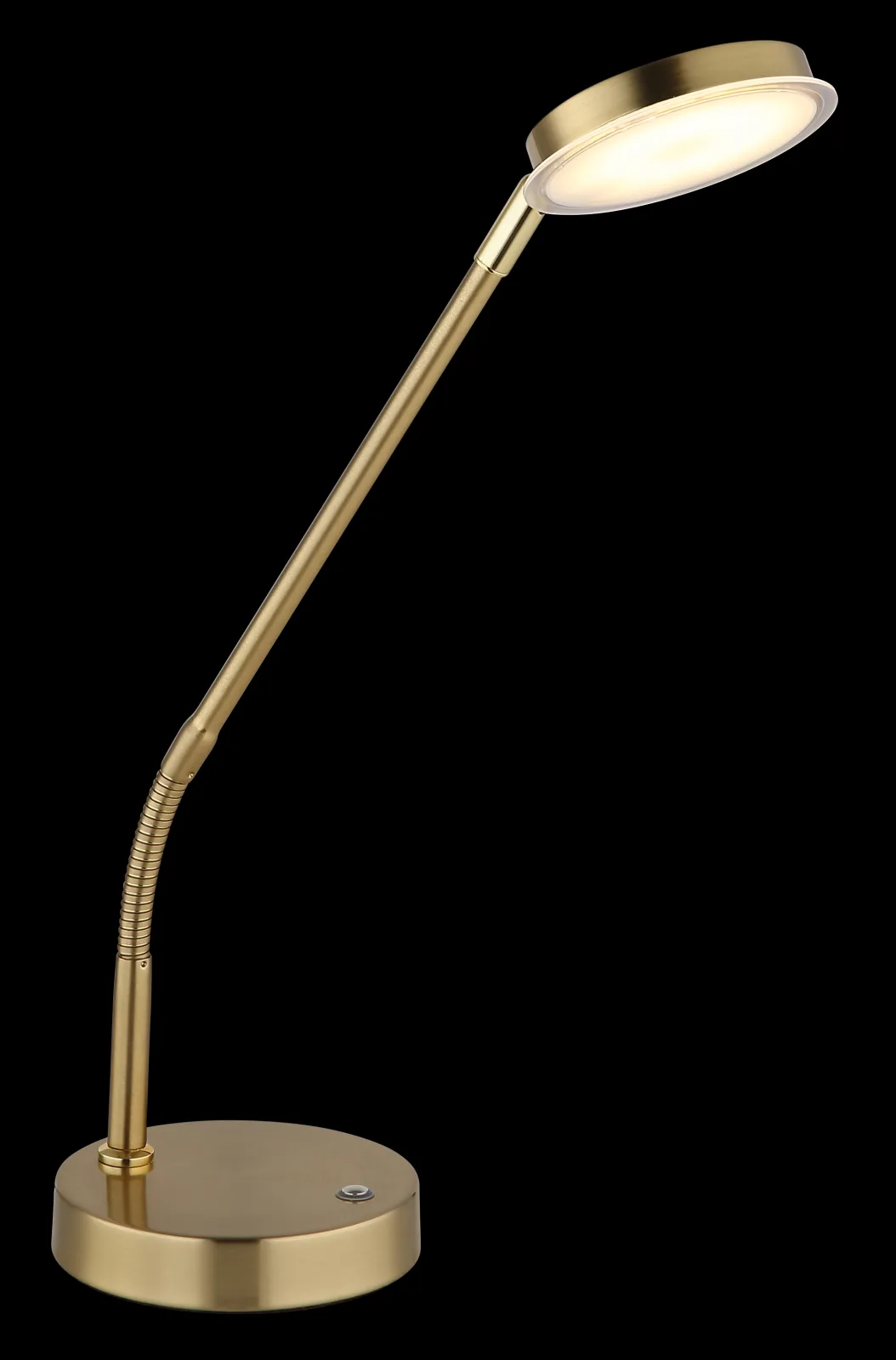 SILVIO 7