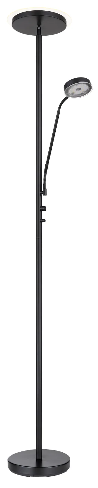 ERNST 6