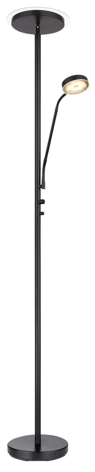 ERNST 7