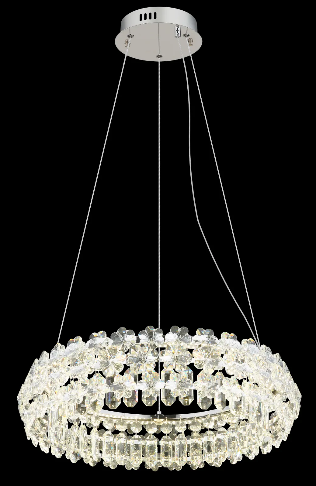 DIANN 6