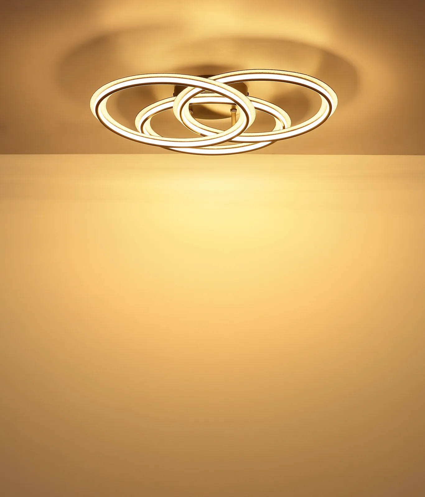 ELAN 6