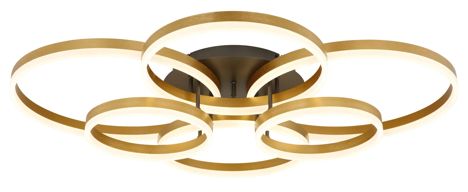 ELORIA