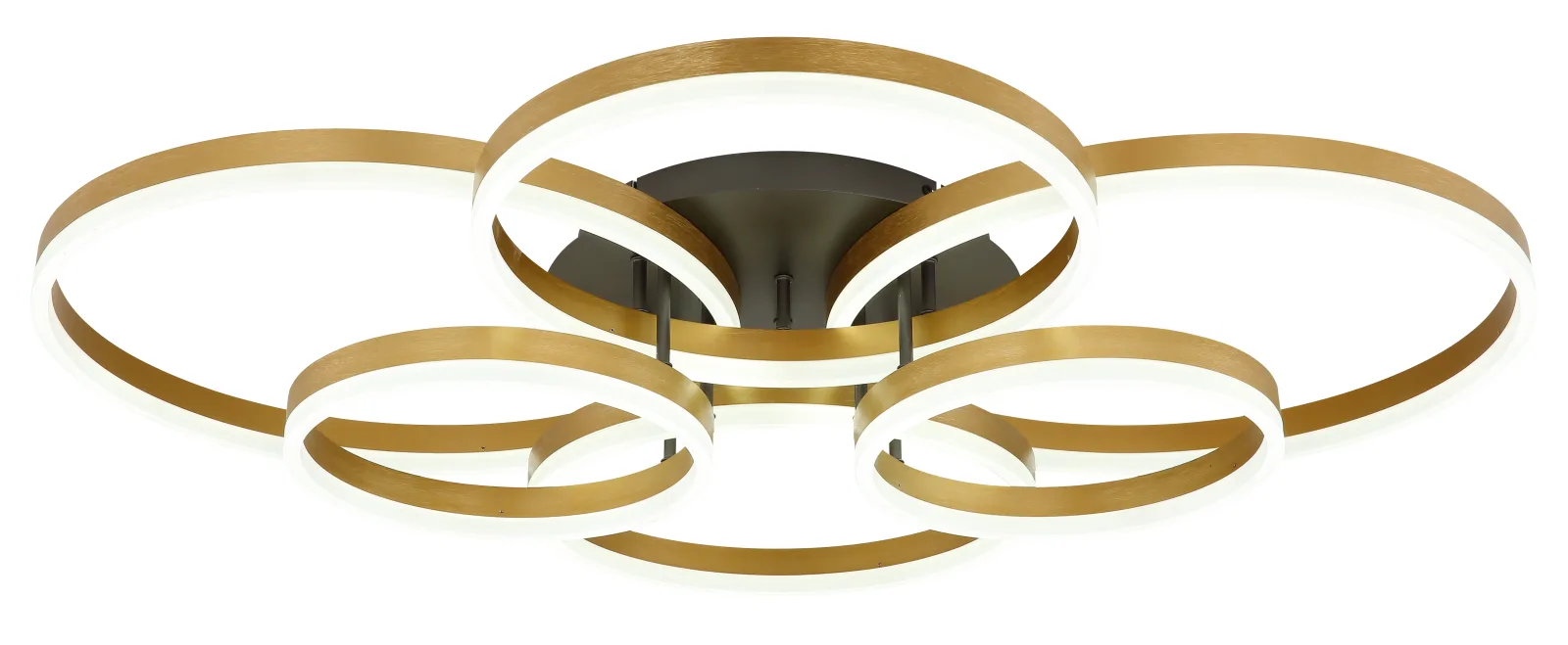 ELORIA 6