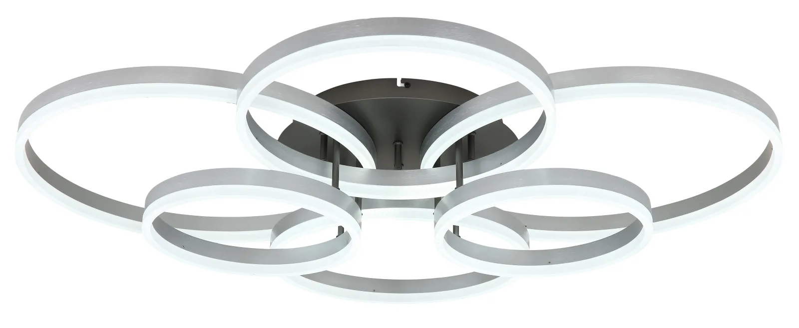 ELORIA 6